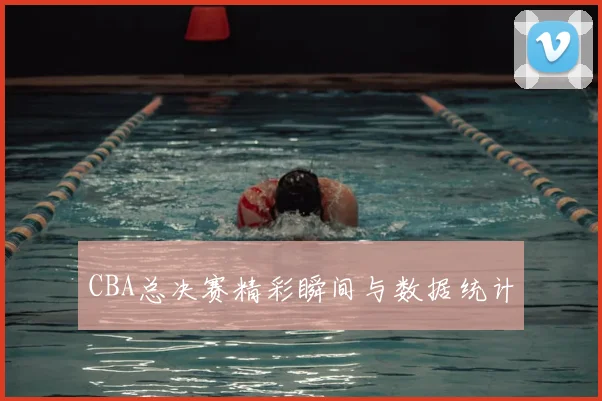 CBA总决赛精彩瞬间与数据统计