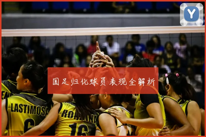 国足归化球员表现全解析