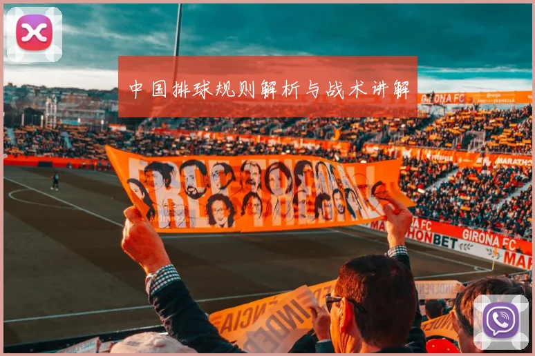 中国排球规则解析与战术讲解