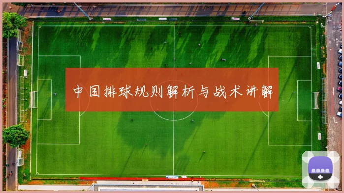 中国排球规则解析与战术讲解