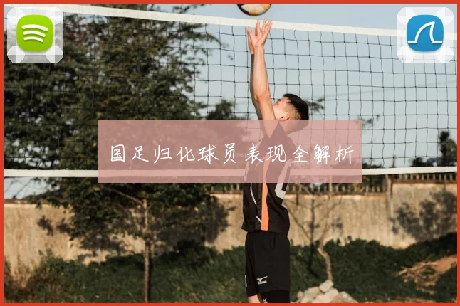 国足归化球员表现全解析