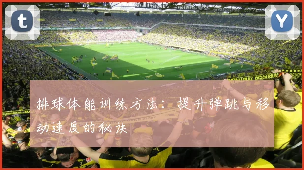 排球体能训练方法：提升弹跳与移动速度的秘诀