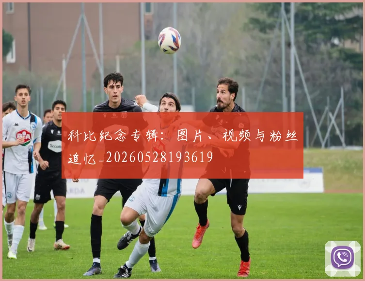科比纪念专辑：图片、视频与粉丝追忆_20260528193619